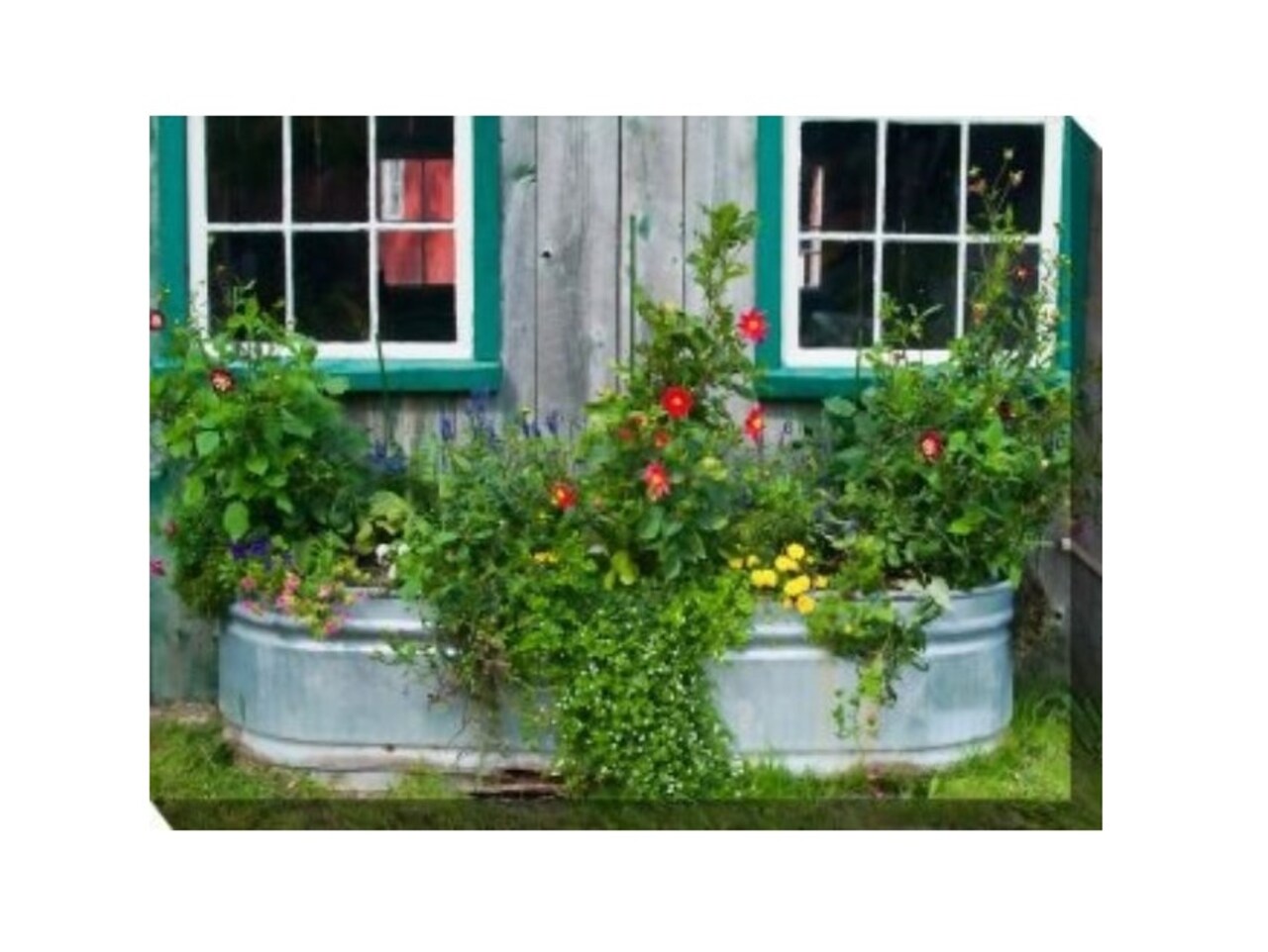 Outdoor Living and Style Green and Red Flower Tub Outdoor Canvas Rectangular Wall Art Decor 30" x 40"
